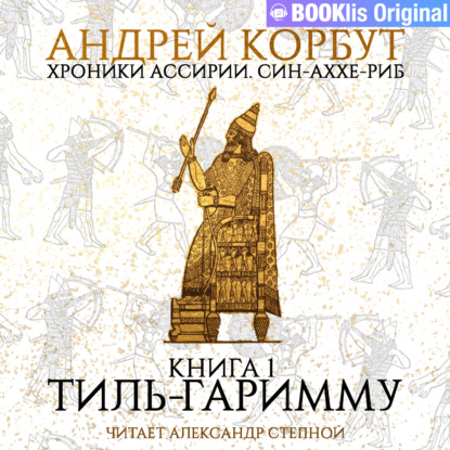 Обложка книги «Книга 1. Тиль Гаримму»