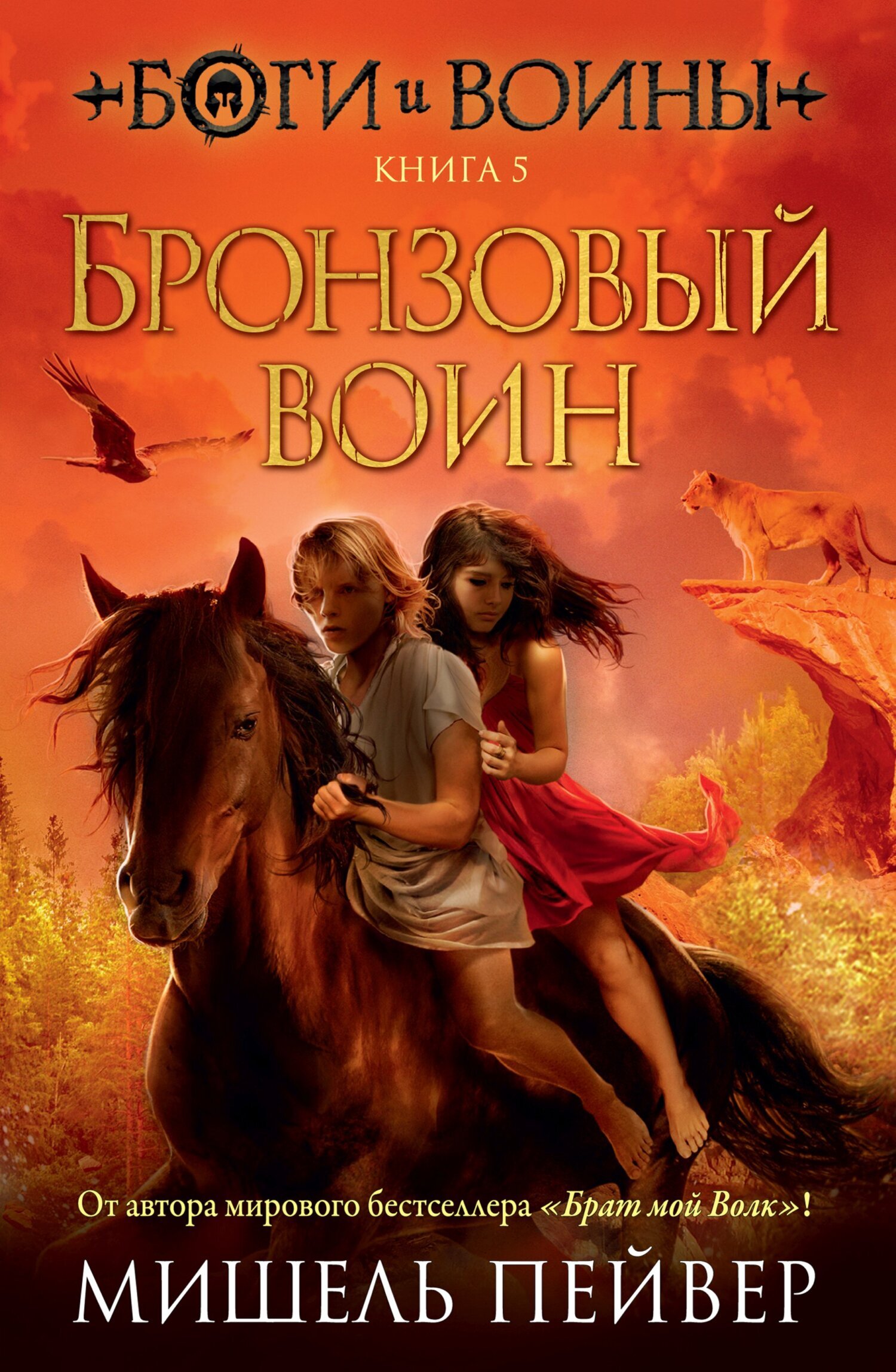 Обложка книги «Бронзовый воин»