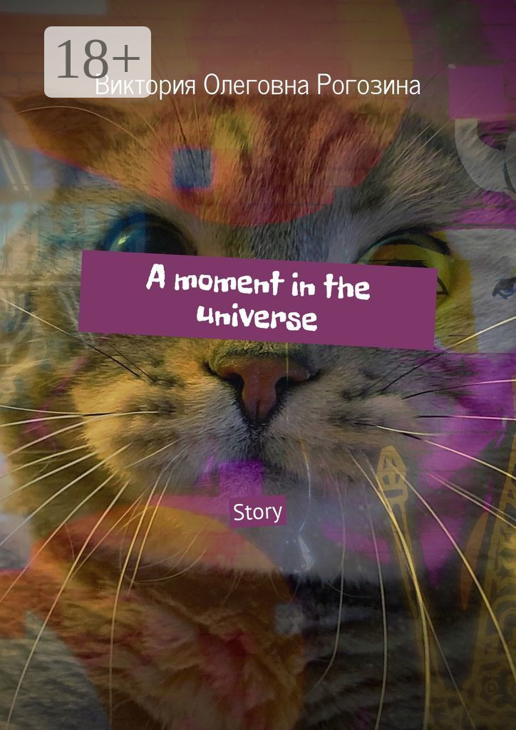 Обложка книги «A moment in the universe. Story»