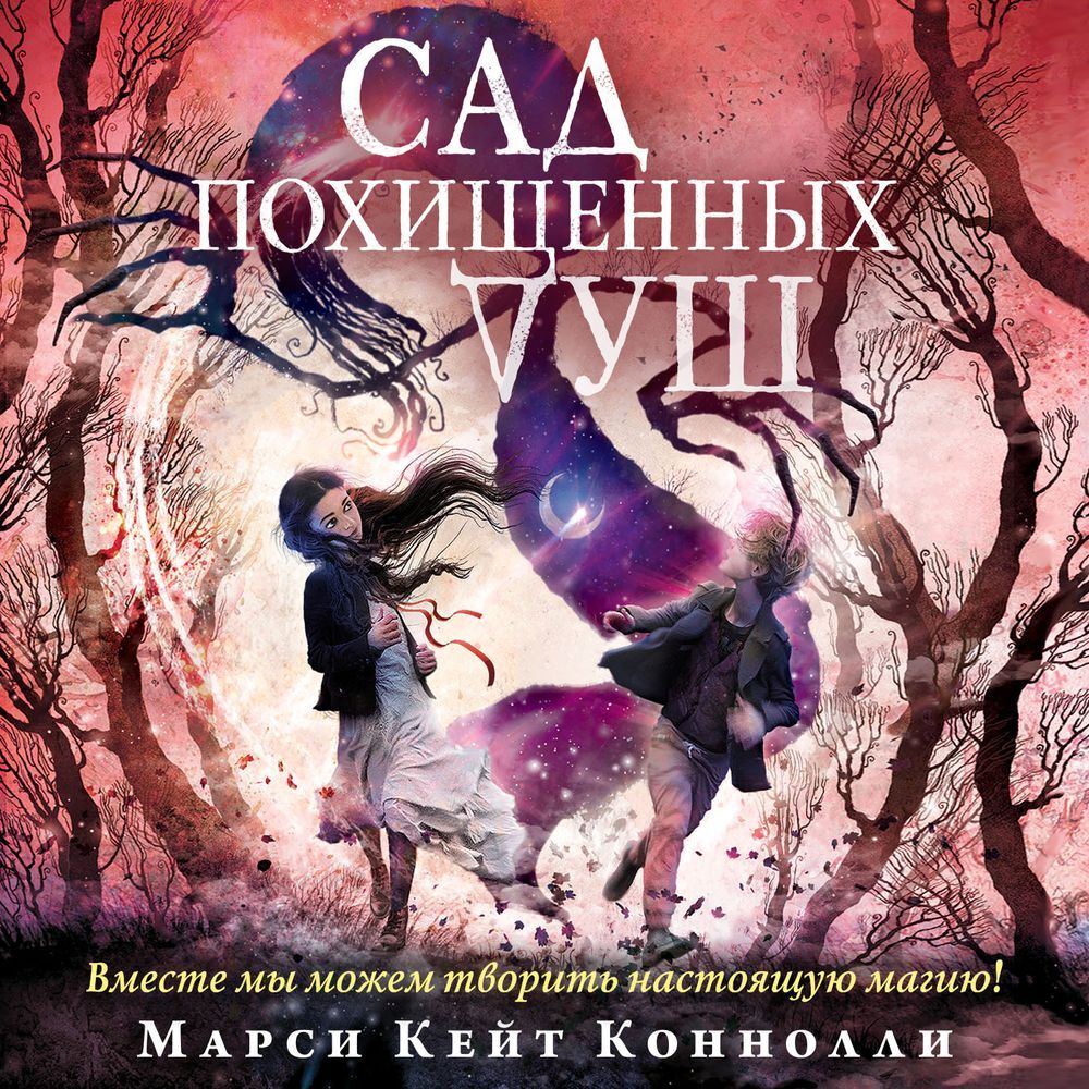 Обложка книги «Сад похищенных душ»