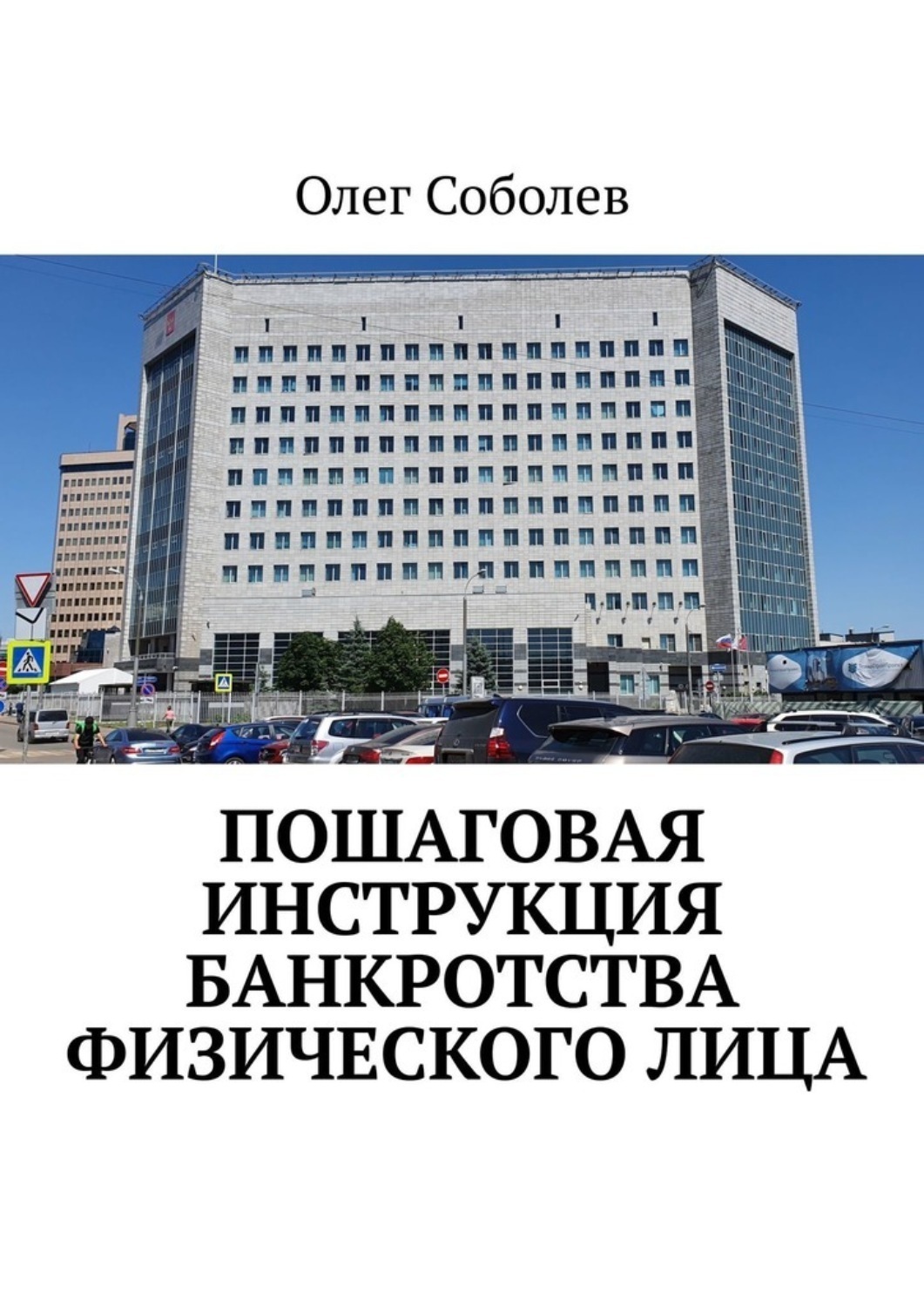 Обложка книги «Пошаговая инструкция банкротства физического лица»