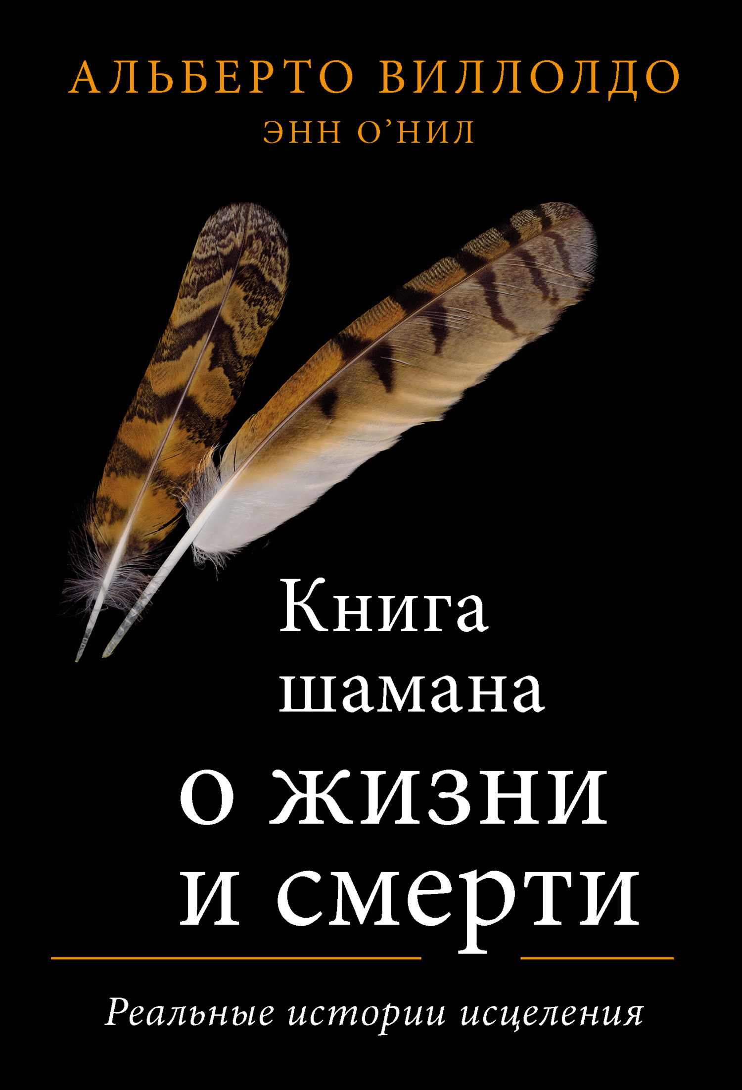 Обложка книги «Книга шамана о жизни и смерти. Реальные истории исцеления»
