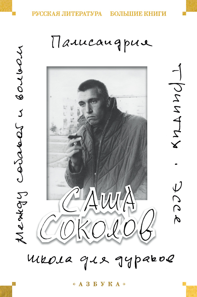 Обложка книги «Школа для дураков. Между собакой и волком. Палисандрия. Эссе. Триптих»
