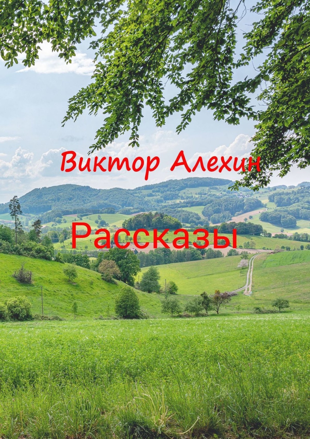 Обложка книги «Рассказы»