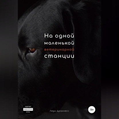 Обложка книги «На одной маленькой ветеринарной станции»