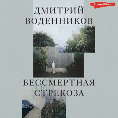 Обложка книги «Бессмертная стрекоза»