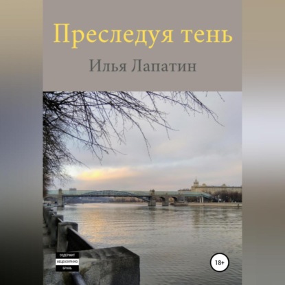 Обложка книги «Преследуя тень»