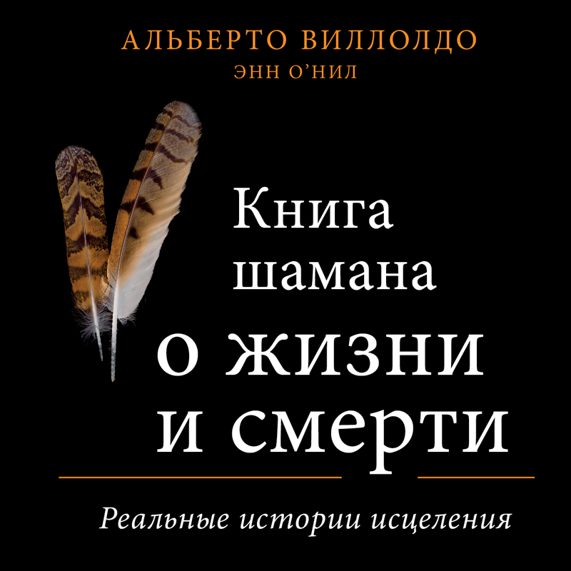 Обложка книги «Книга шамана о жизни и смерти. Реальные истории исцеления»