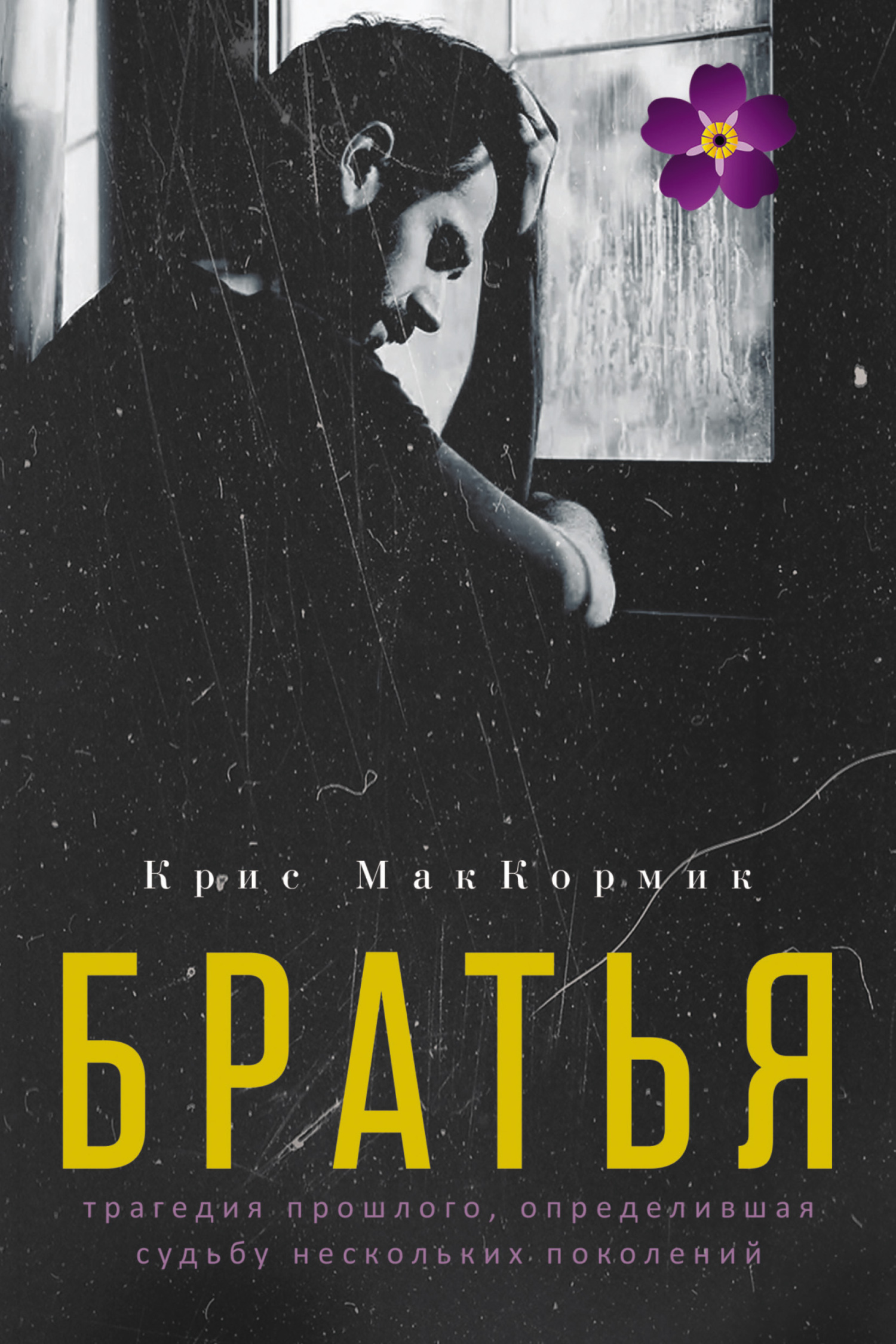 Обложка книги «Братья»