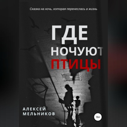 Обложка книги «Где ночуют птицы»