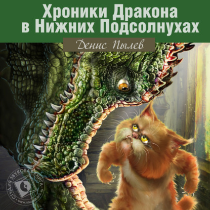 Обложка книги «Хроники Дракона в Нижних Подсолнухах»