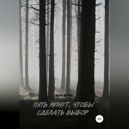 Обложка книги «Пять минут, чтобы сделать выбор»