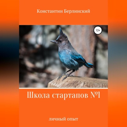 Обложка книги «Школа стартапов №1: Личный опыт»