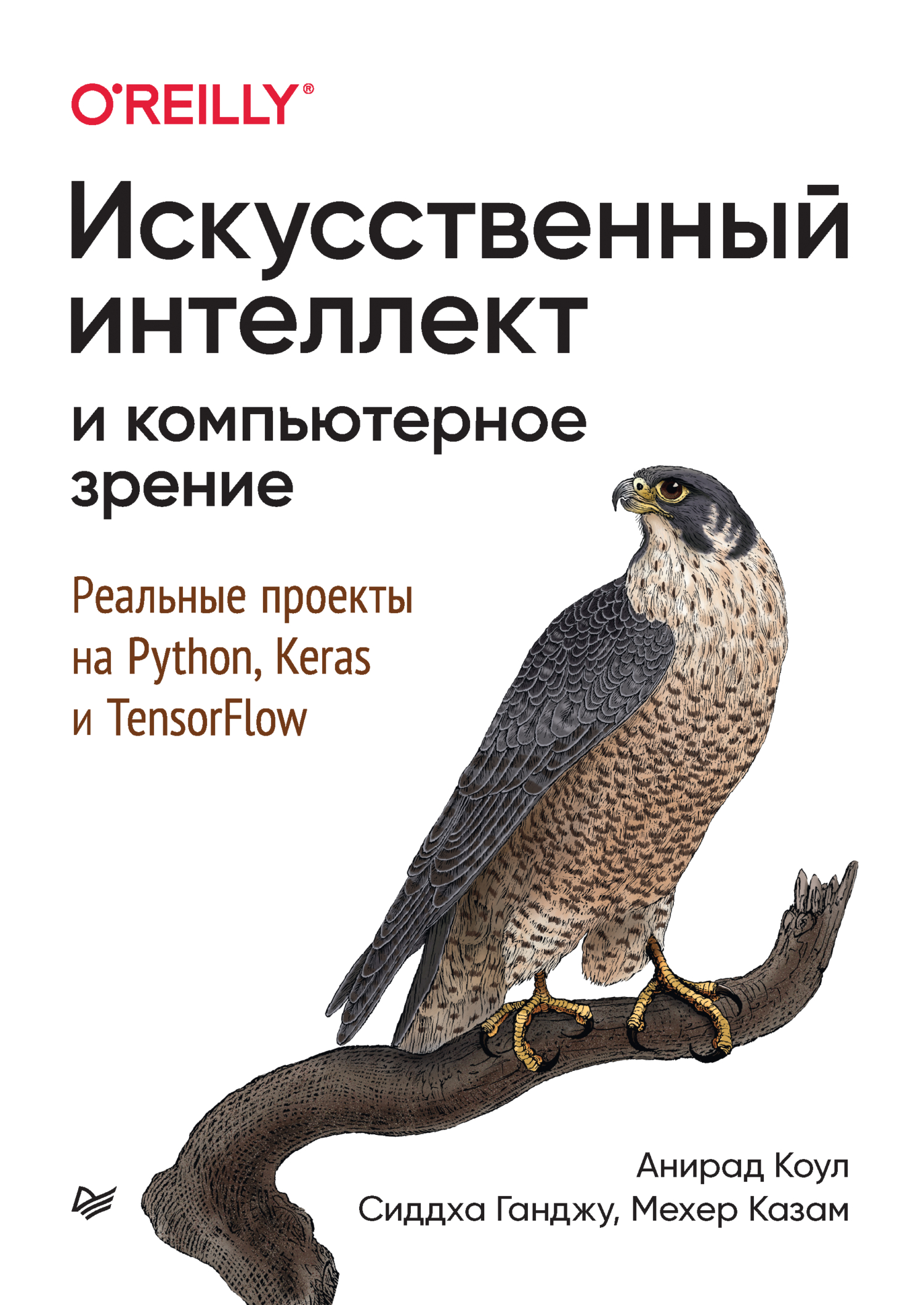 Обложка книги «Искусственный интеллект и компьютерное зрение. Реальные проекты на Python, Keras и TensorFlow (+ epub)»