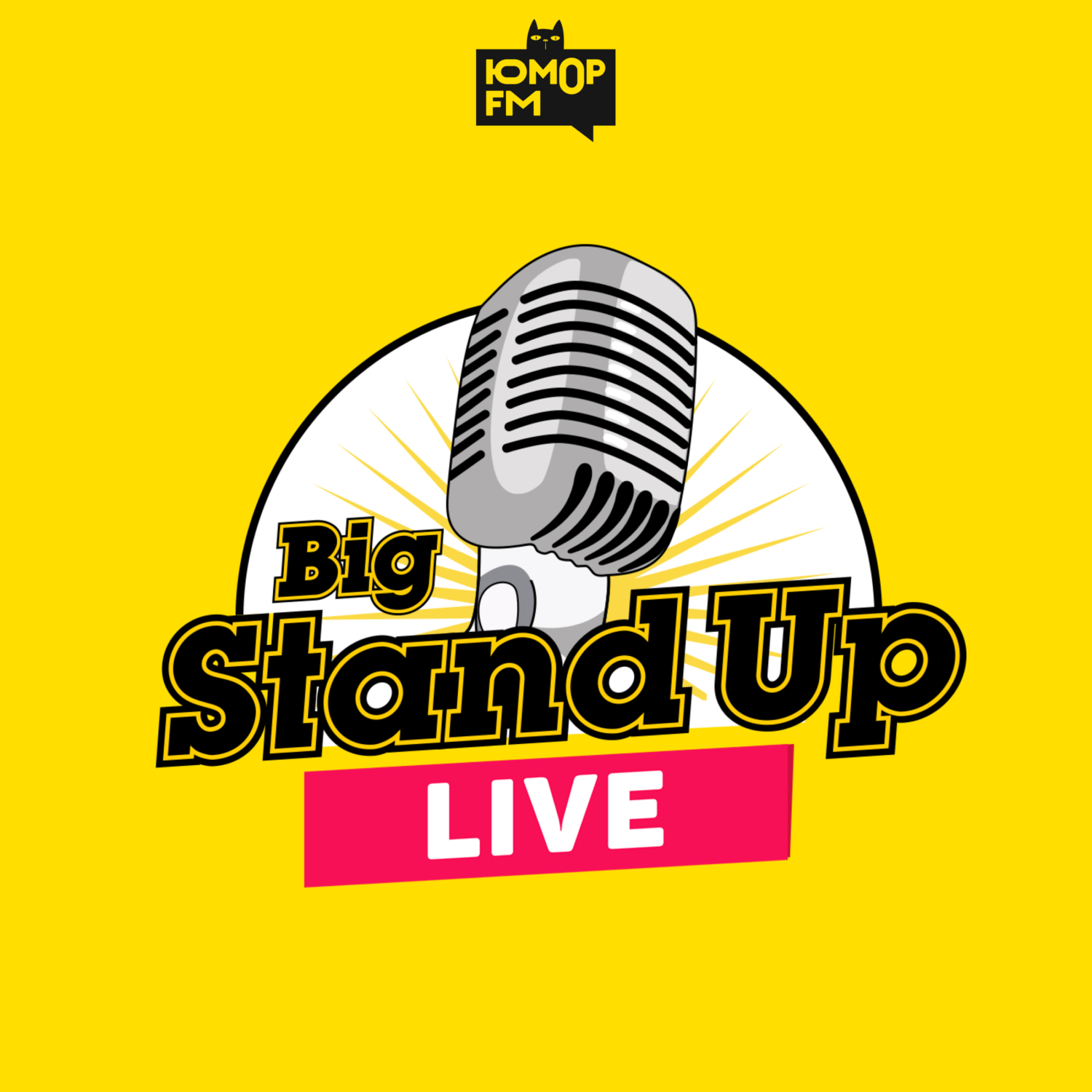 Обложка книги «Big StandUP»