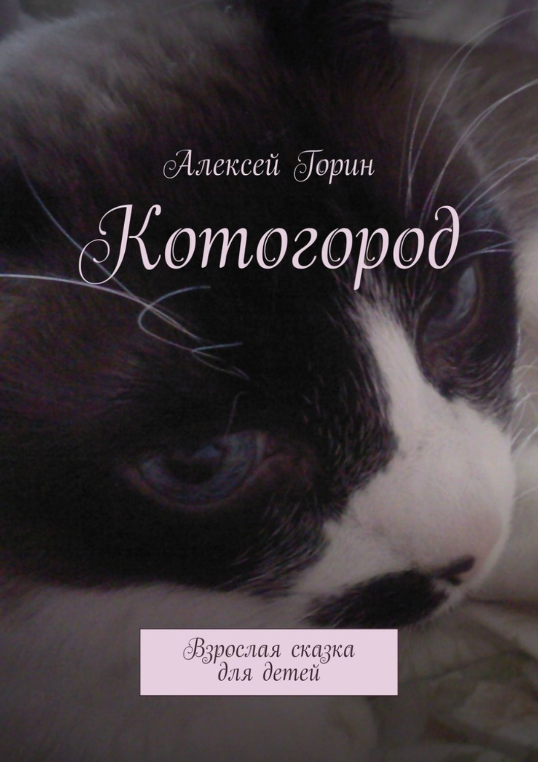 Обложка книги «Котогород»