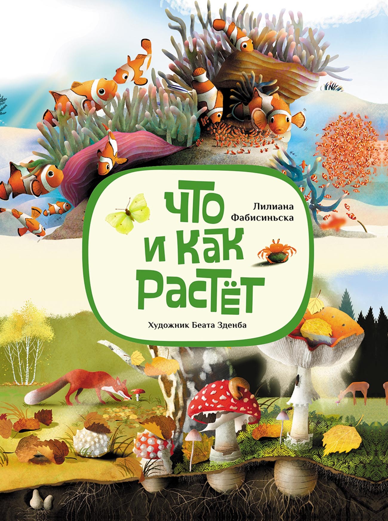 Обложка книги «Что и как растёт»
