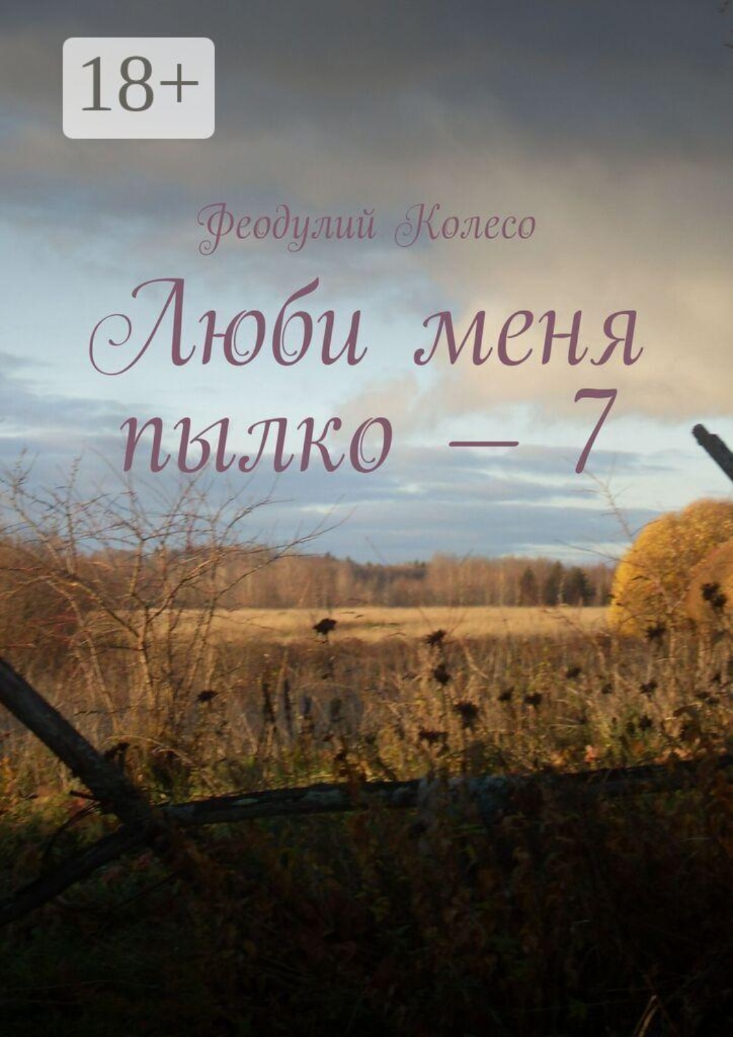 Обложка книги «Люби меня пылко — 7»