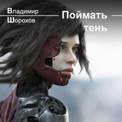Обложка книги «Поймать тень»