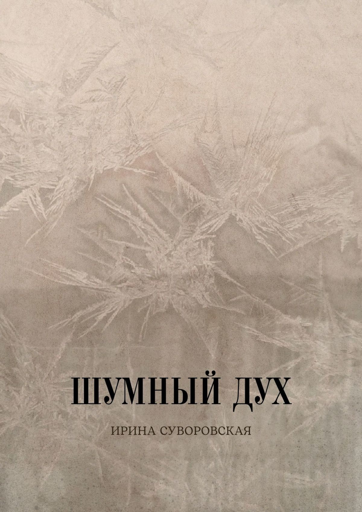 Обложка книги «Шумный дух»