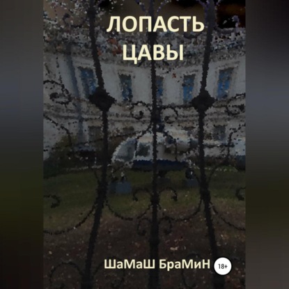 Обложка книги «Лопасть цавы»