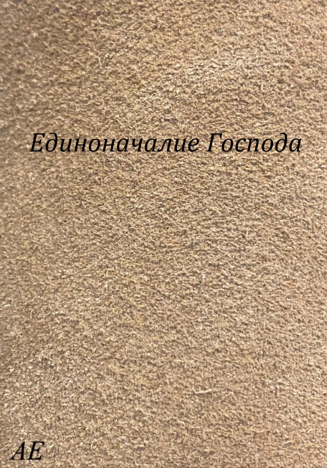 Обложка книги «Единоначалие Господа»