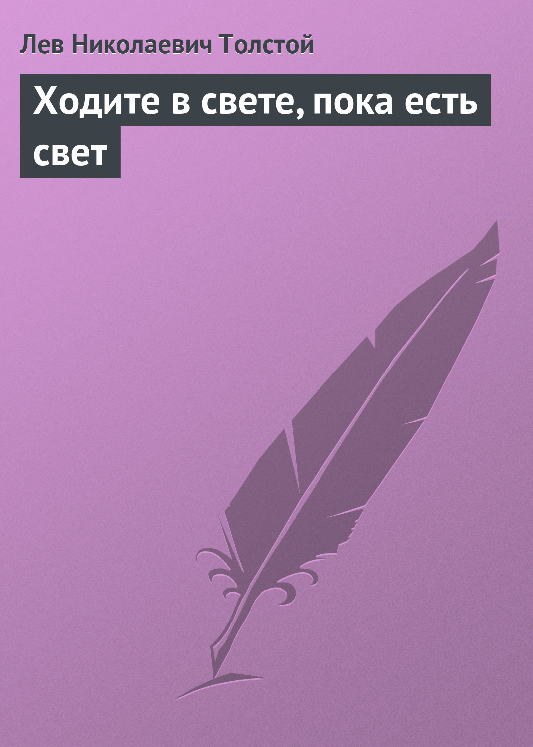 Обложка книги «Ходите в свете, пока есть свет»