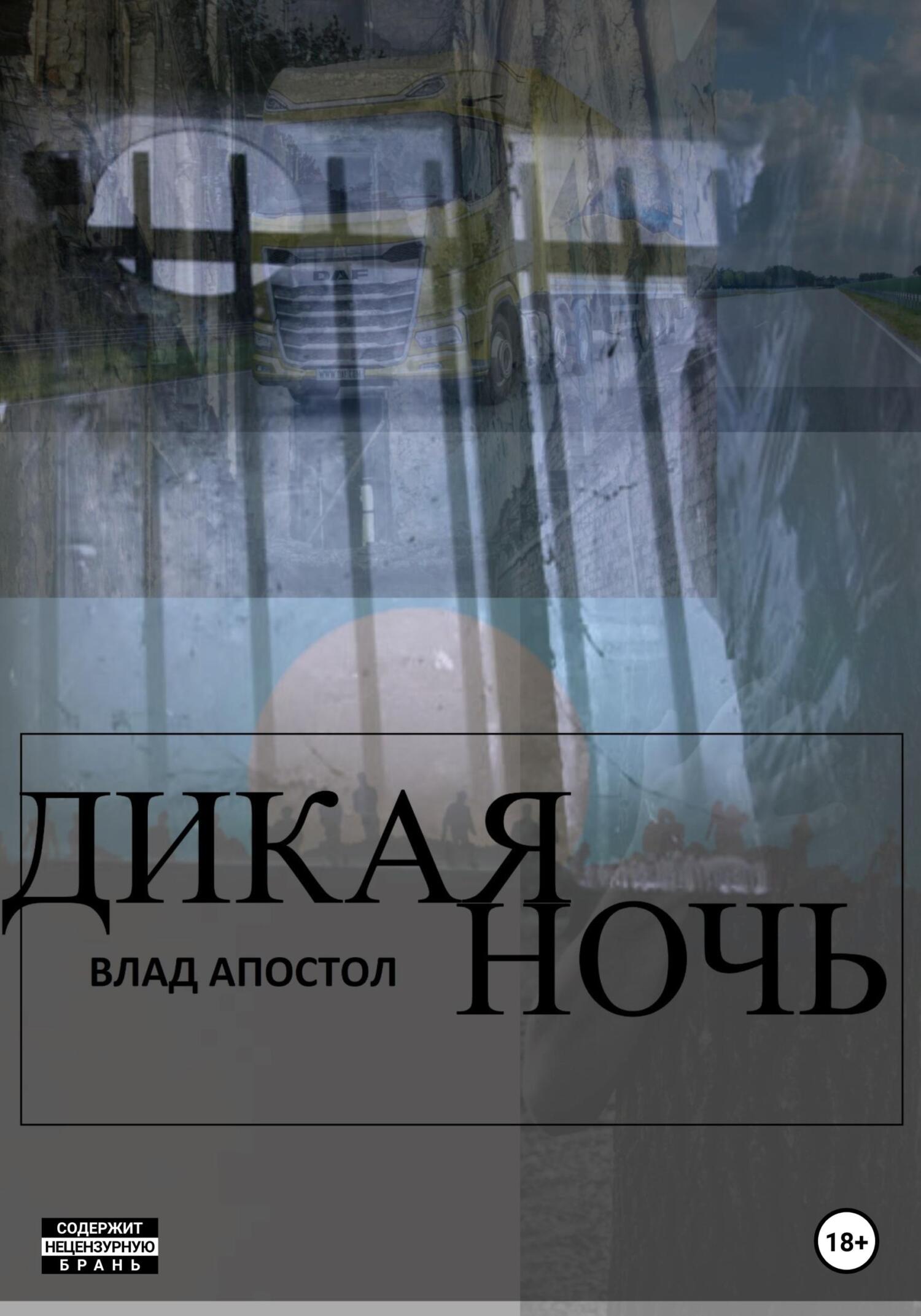 Обложка книги «Дикая ночь»