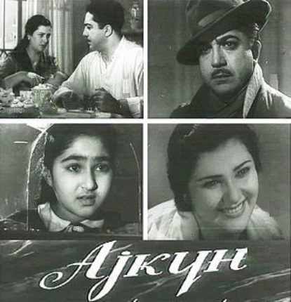 Обложка книги «Aygün»