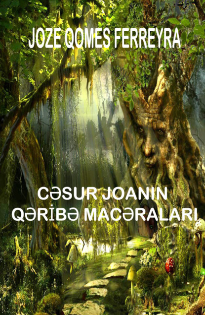 Обложка книги «Cəsur Joananın qəribə macəraları»