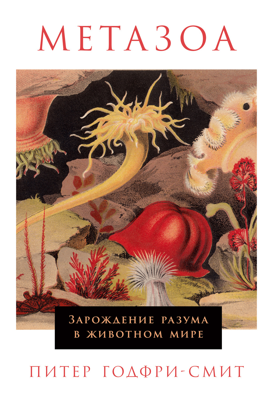 Обложка книги «Метазоа. Зарождение разума в животном мире»