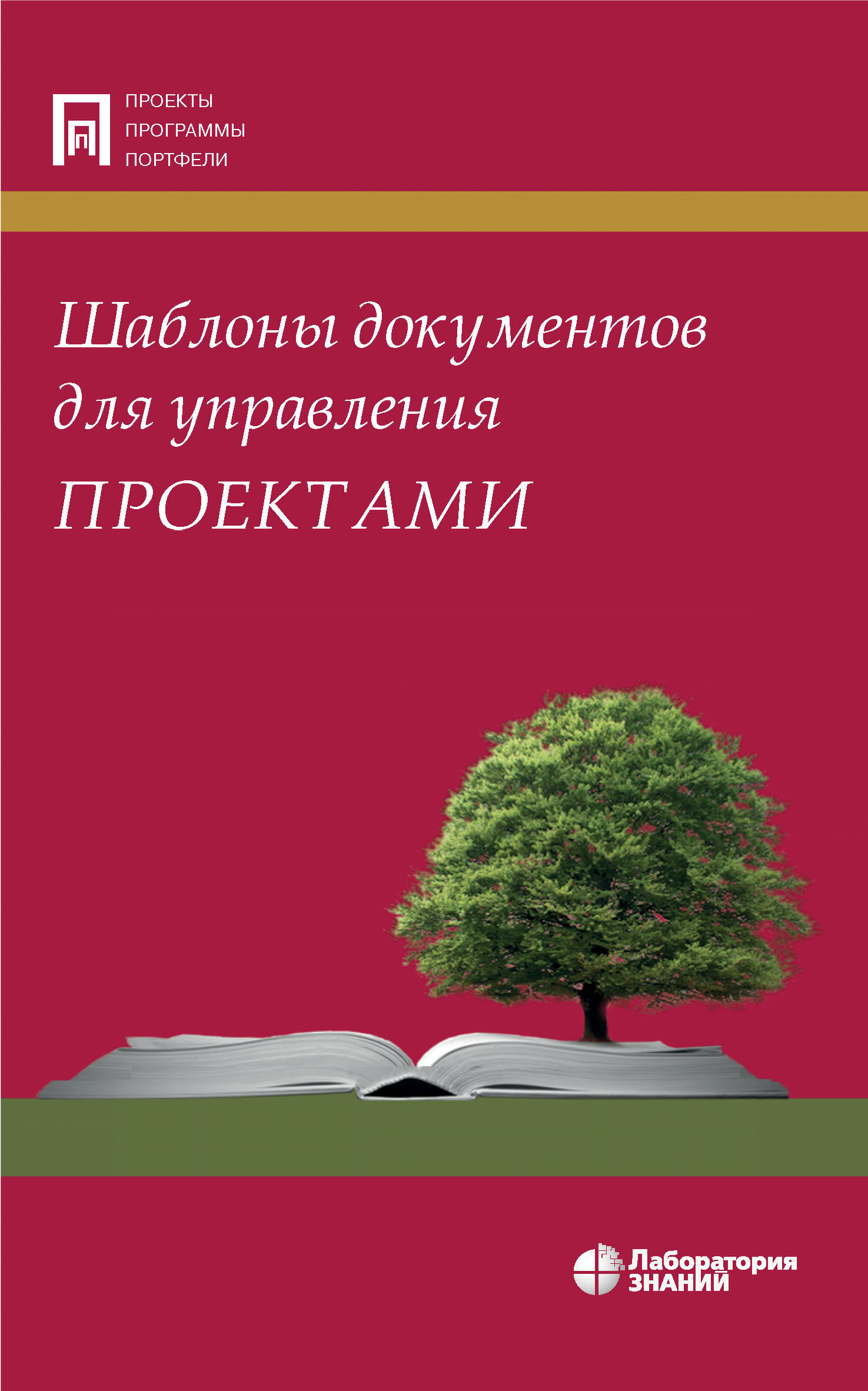Обложка книги «Шаблоны документов для управления проектами»