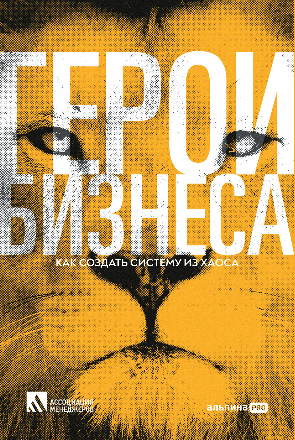 Обложка книги «Герои бизнеса. Как создать систему из хаоса»