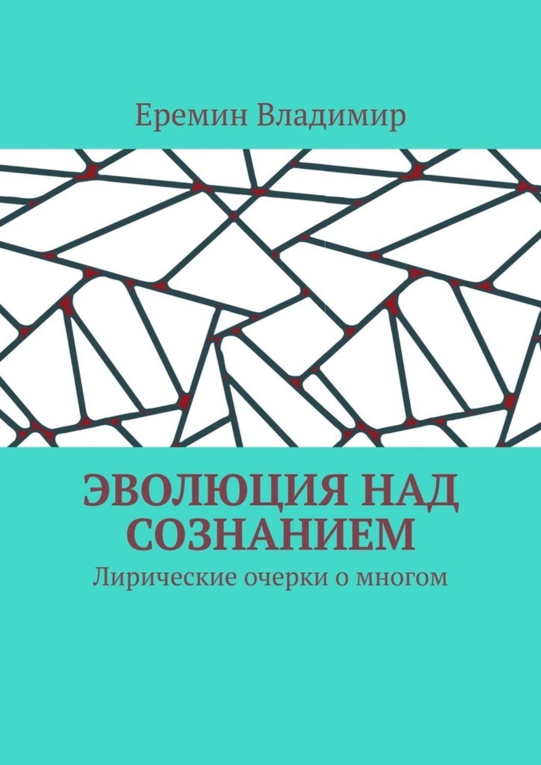 Обложка книги «Эволюция над сознанием. Лирические очерки о многом»
