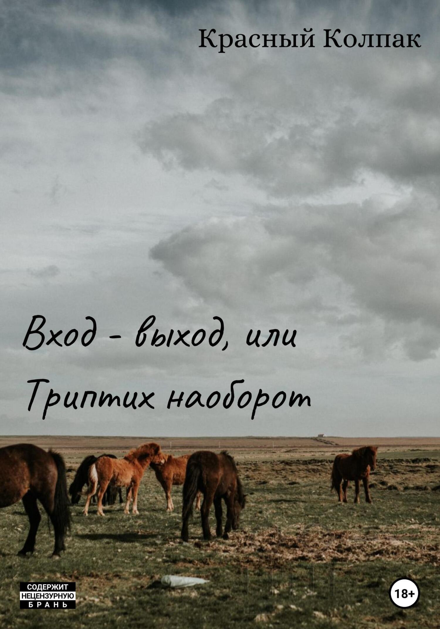 Обложка книги «Вход – выход, или Триптих наоборот»
