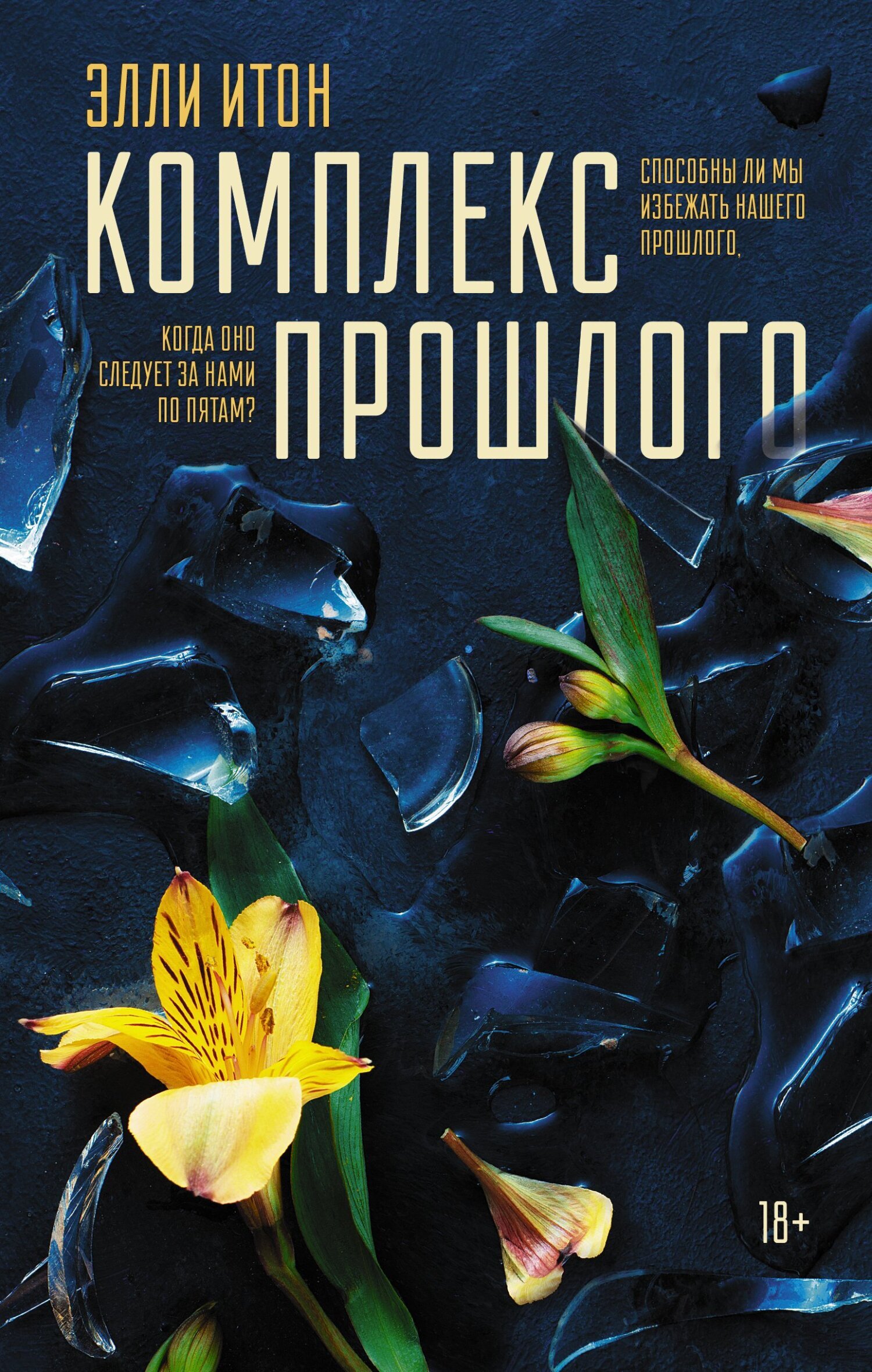 Обложка книги «Комплекс прошлого»