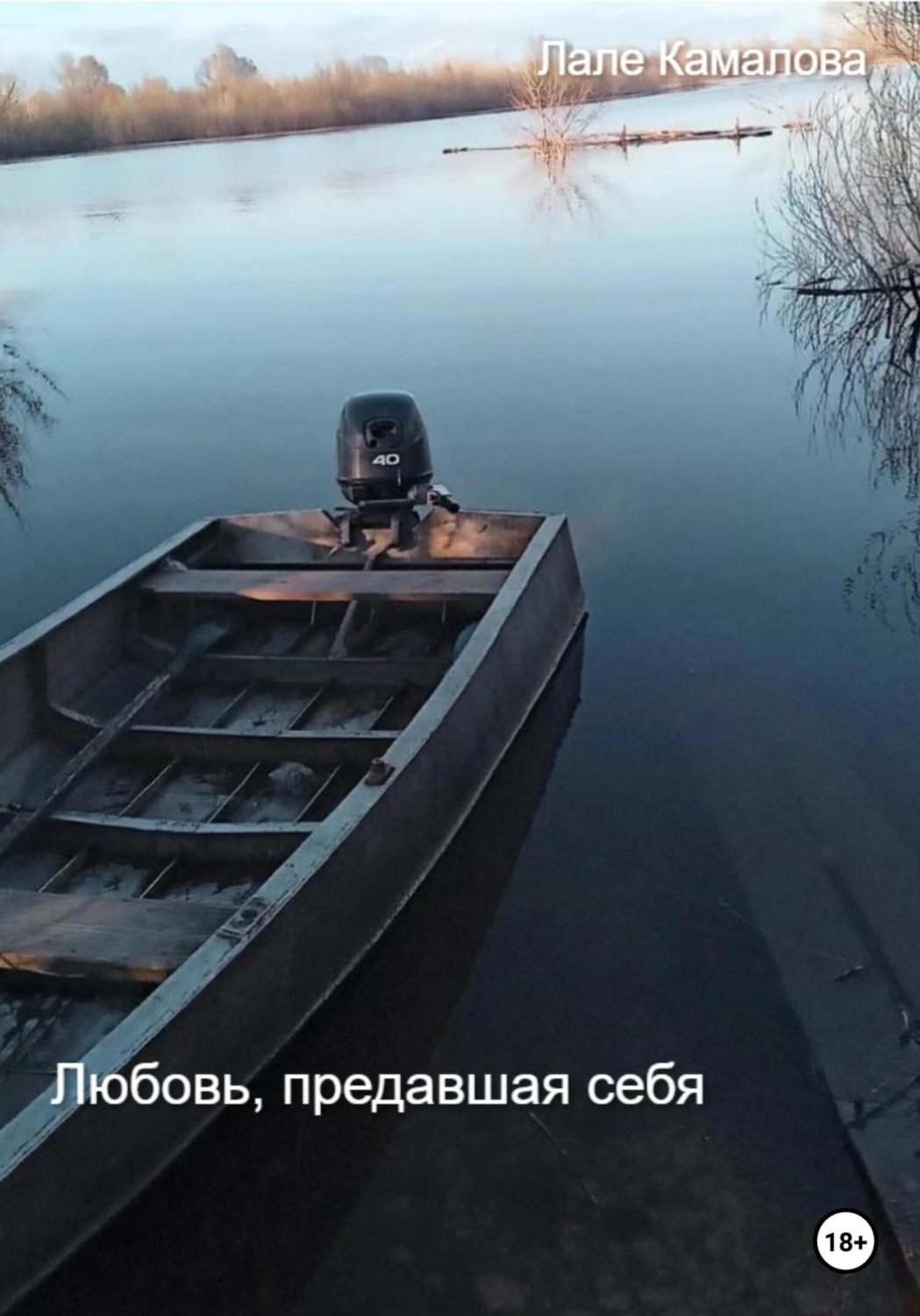 Обложка книги «Любовь, предавшая себя»