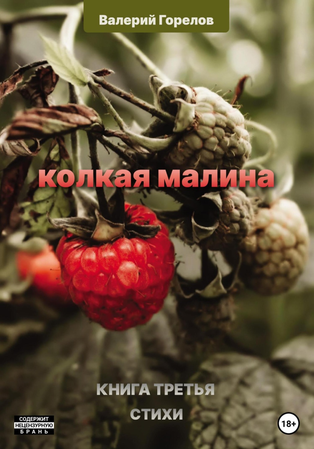 Обложка книги «Колкая малина. Книга третья»