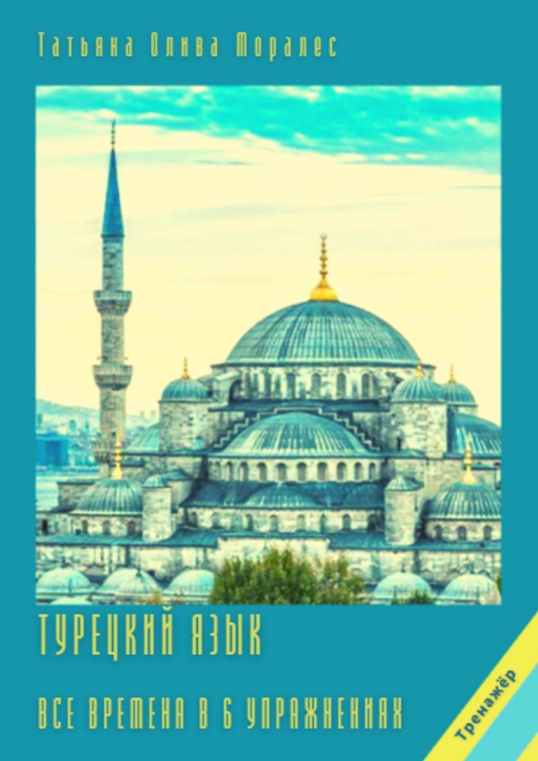 Обложка книги «Турецкий язык. Все времена в 6 упражнениях. Тренажёр»