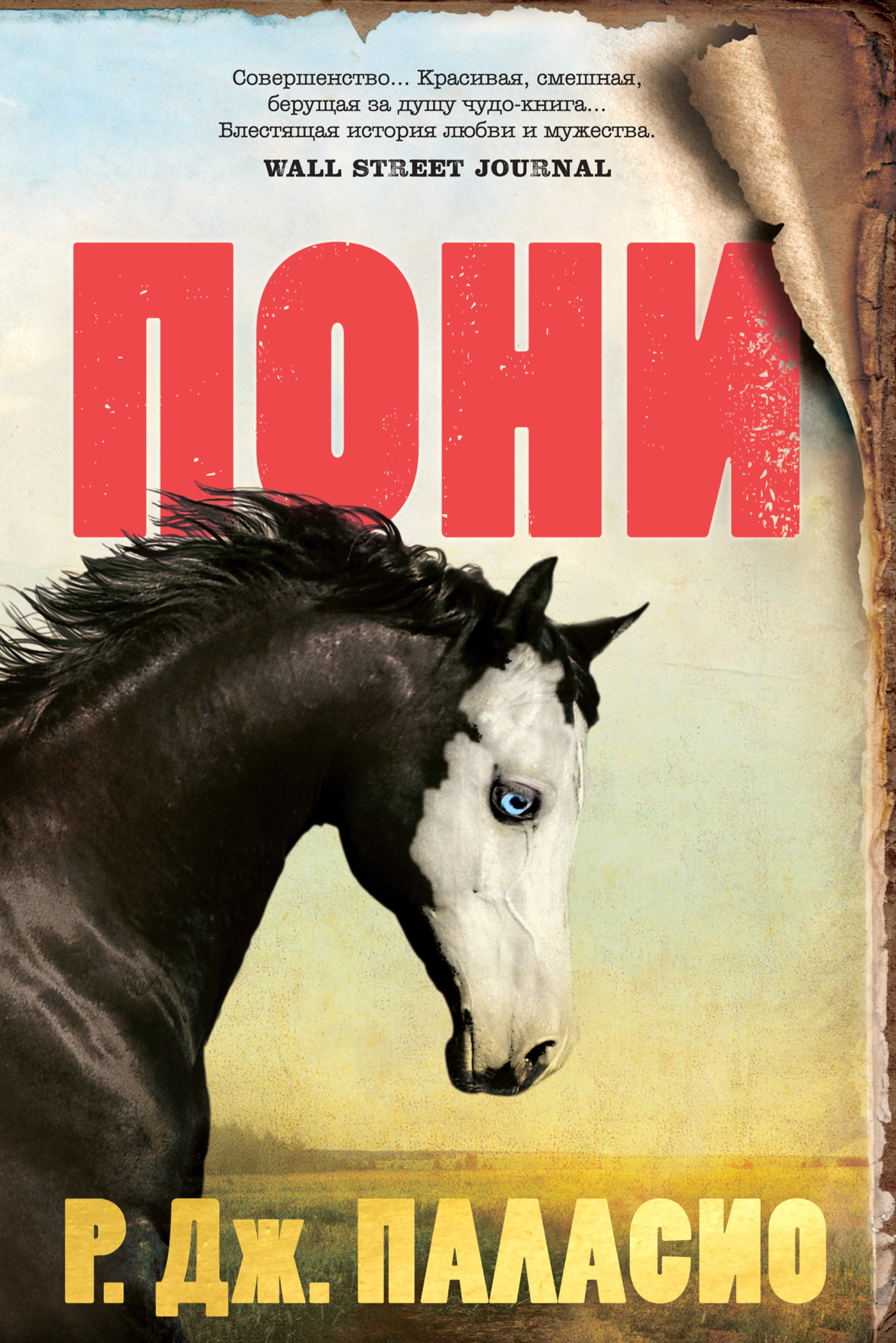 Обложка книги «Пони»