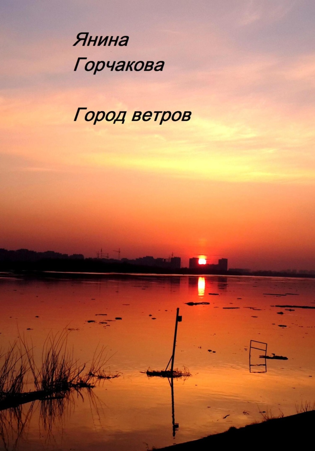 Обложка книги «Город ветров»
