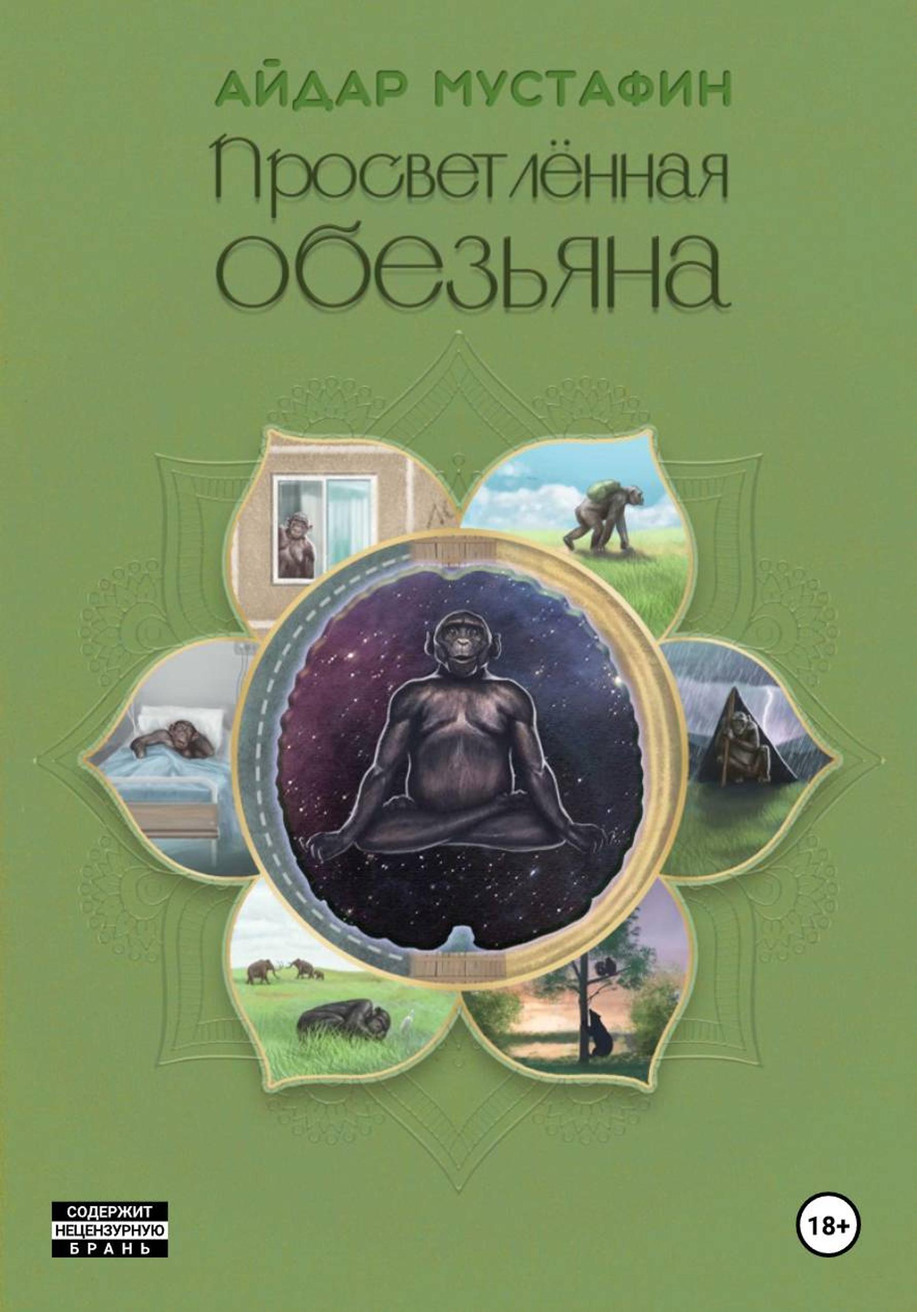 Обложка книги «Просветлённая обезьяна»