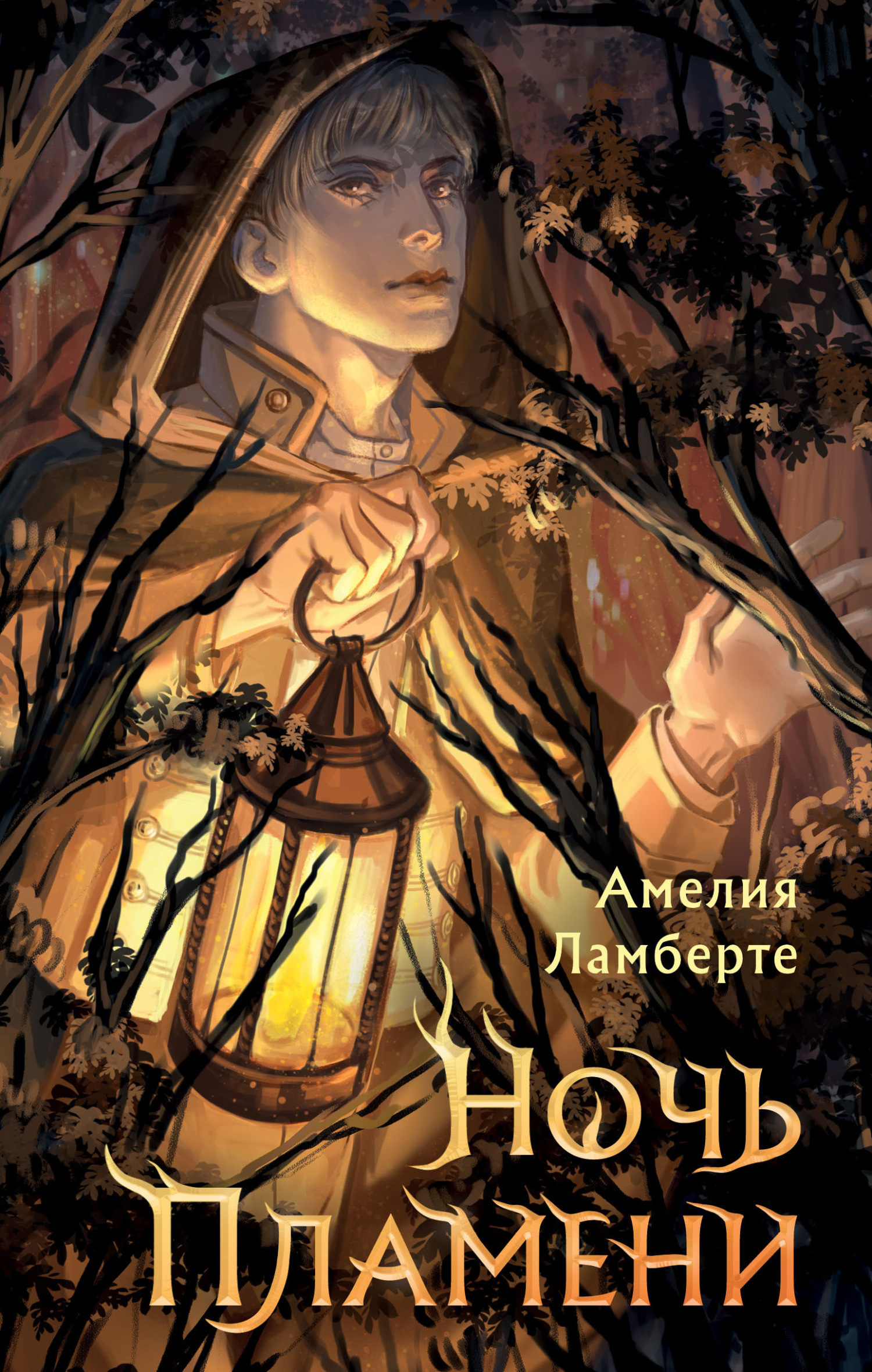 Обложка книги «Ночь пламени»