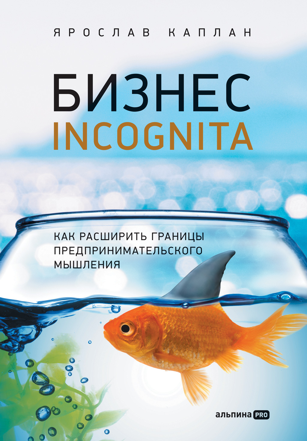 Обложка книги «Бизнес incognita. Как расширить границы предпринимательского мышления»