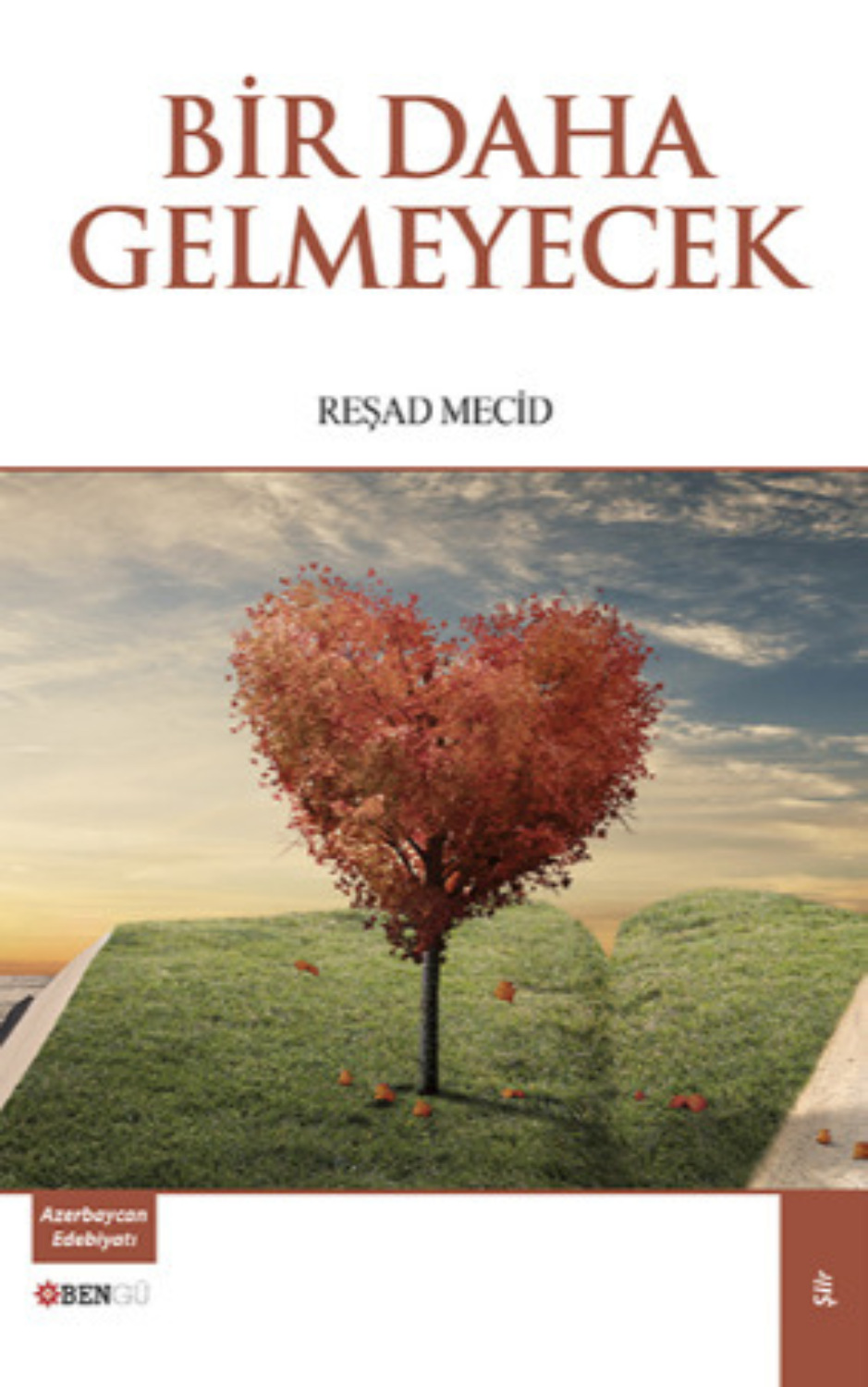 Обложка книги «Bir Daha Gelmeyecek»