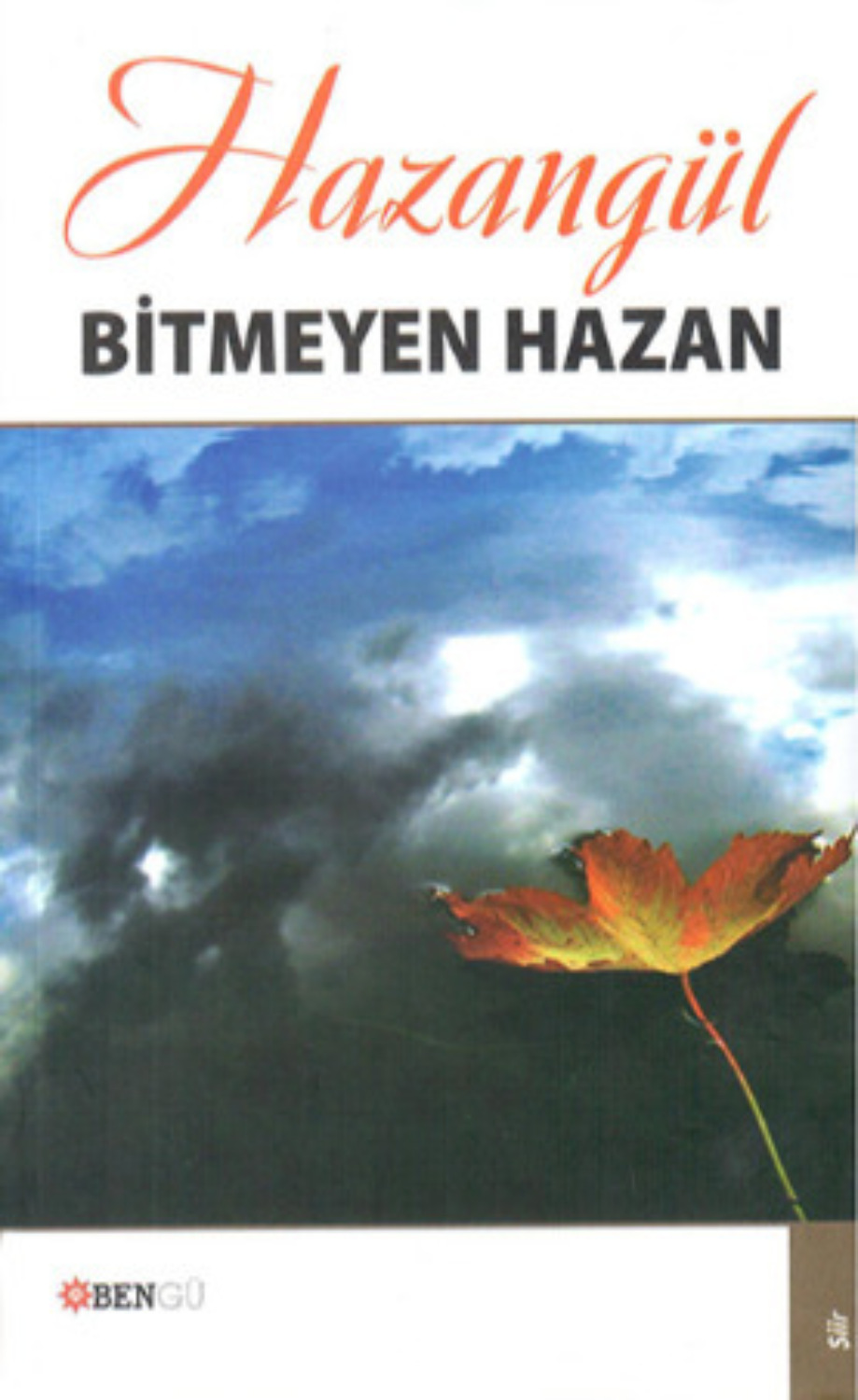 Обложка книги «Bitmeyen Hazan»