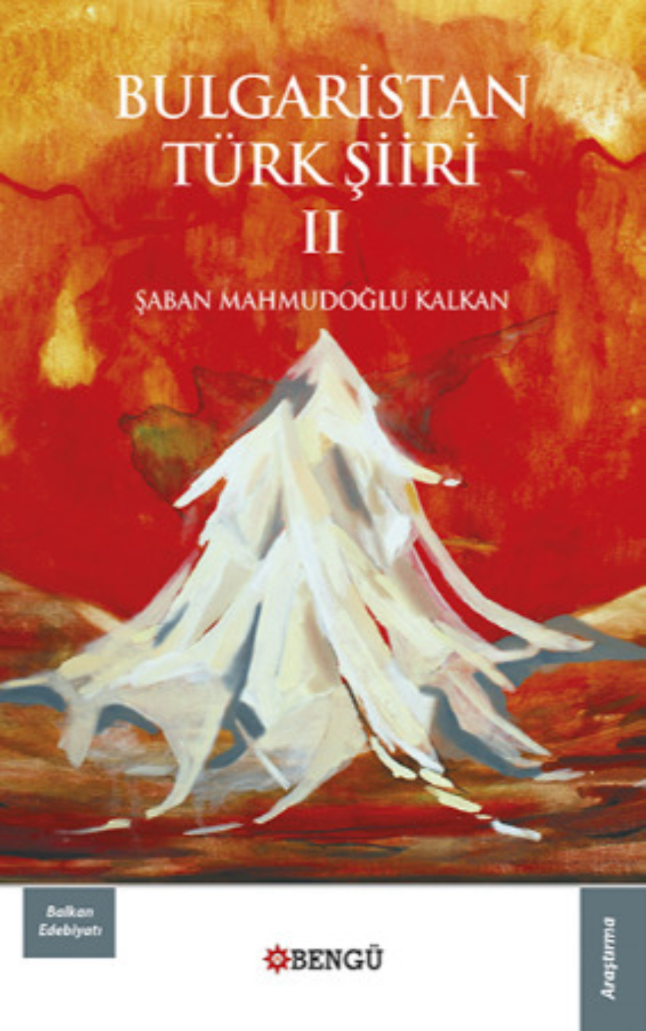 Обложка книги «Bulgaristan Türk Şiiri Cilt 2»