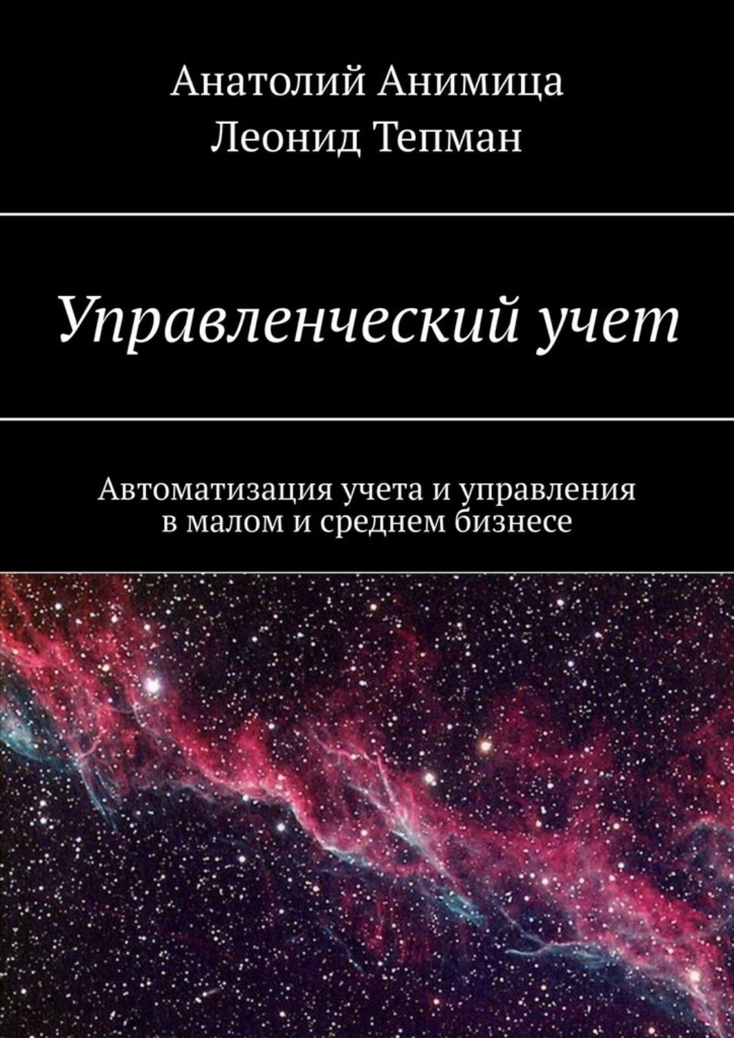 Обложка книги «Управленческий учет. Автоматизация учета и управления в малом и среднем бизнесе»