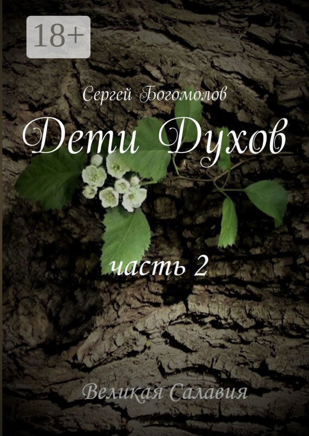 Обложка книги «Дети Духов. Часть 2»
