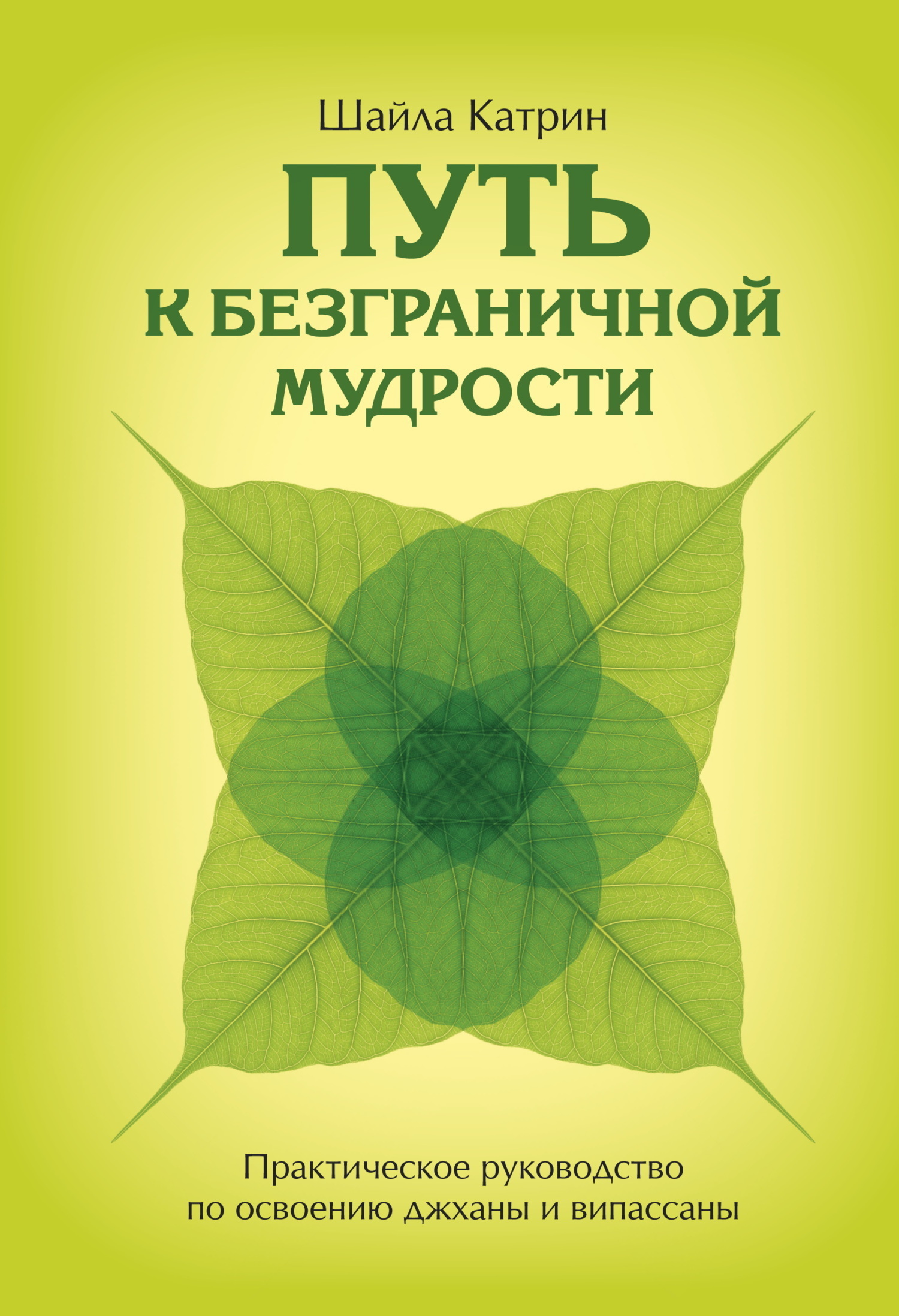 Обложка книги «Путь к безграничной мудрости. Практическое руководство по освоению джханы и випассаны»